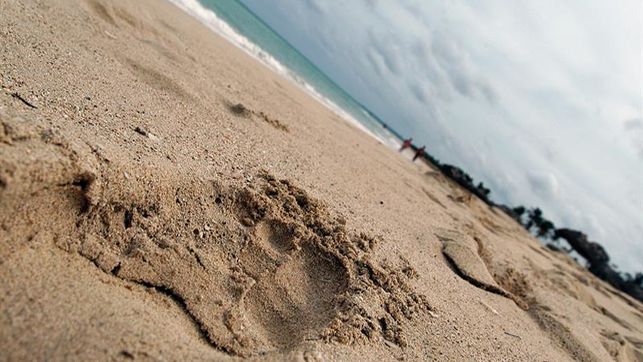 El 82 % de las playas de arena en Cuba sufre erosión