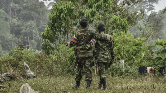 FARC: entregará a todos los menores de edad en sus filas antes del martes