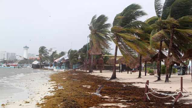 México espera segundo embate de la fortalecida tormenta Franklin