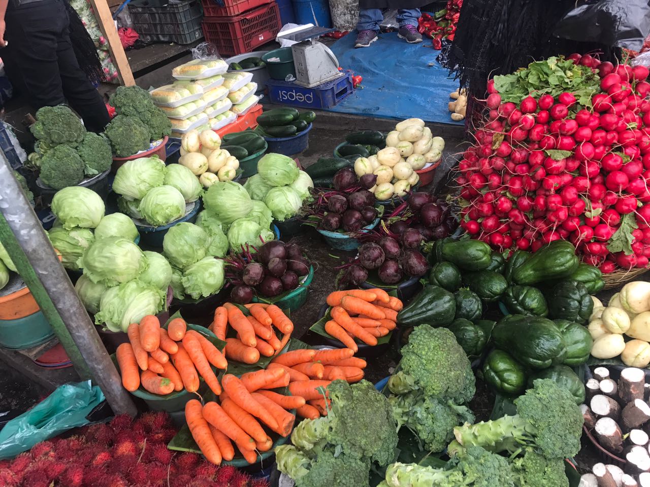 Funcionamiento mercados