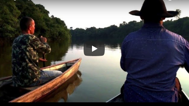 Guardianes Amazonía brasileña