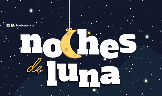 Noches de luna Zoológico La Aurora