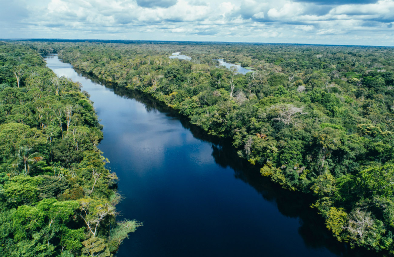 Paneles solares para Amazonia, la última frontera sin energía de Brasil