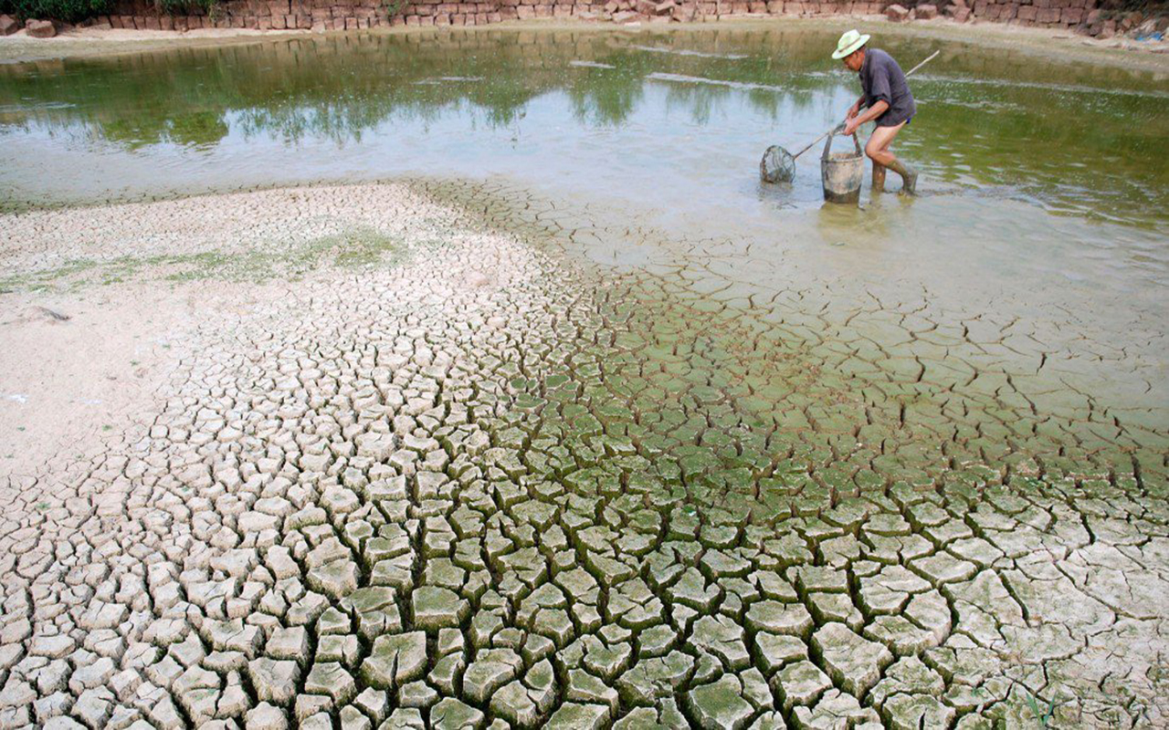 El cambio climático empuja al planeta hacia un "punto de inflexión"