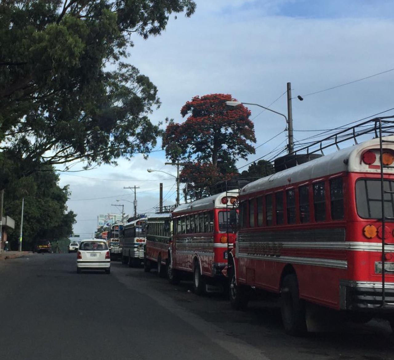 ¿Cuántos accidentes de buses extraurbanos se registraron este año?