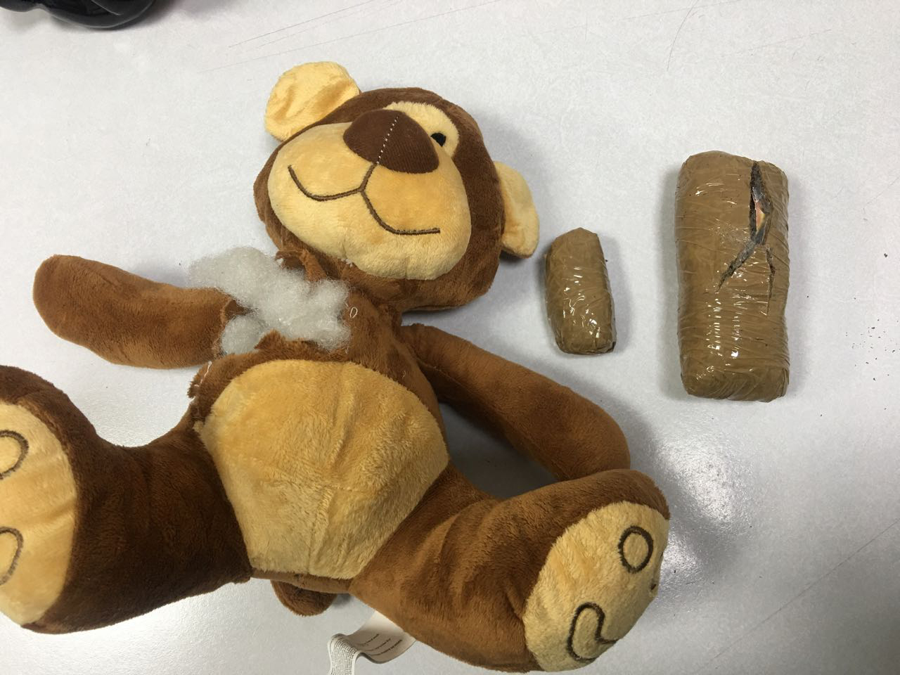 Policía colombiana incauta una osa de peluche rellena de marihuana en Bogotá