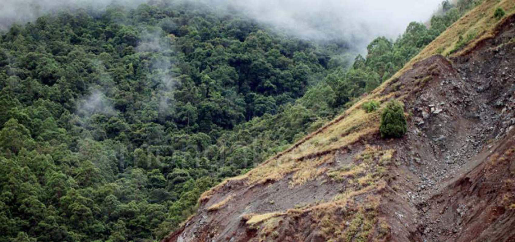 Once desaparecidos y 14 heridos en un deslizamiento de tierra en Indonesia