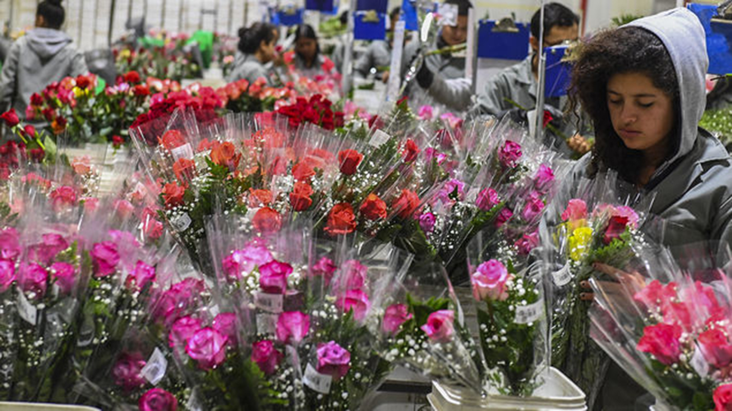 San Valentín, un alivio para la crisis en la frontera con Venezuela