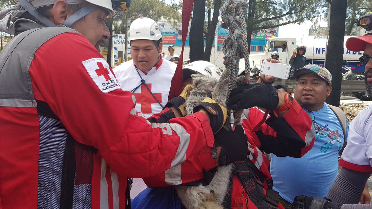 Perisuertudo EU emisoras Unidas Guatemala