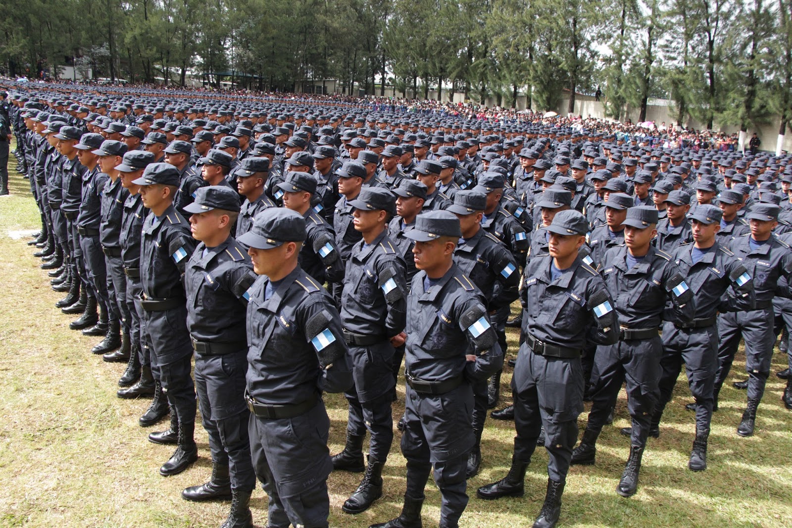 Reforma policial