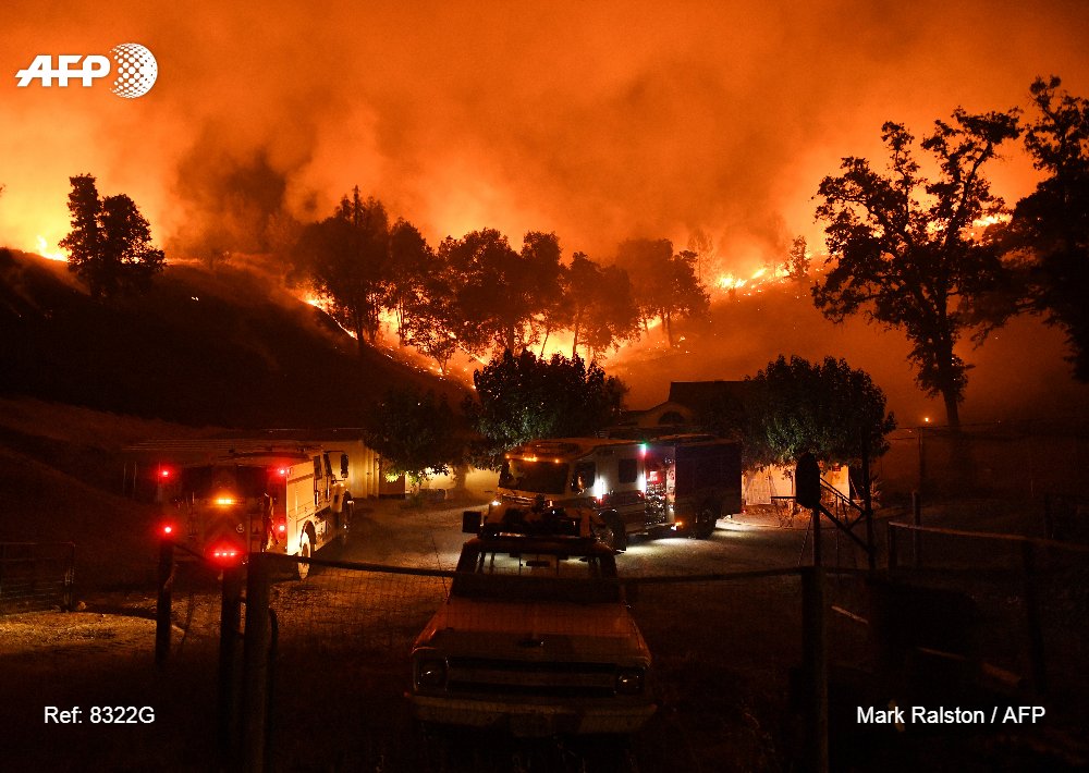 Incendio forestal