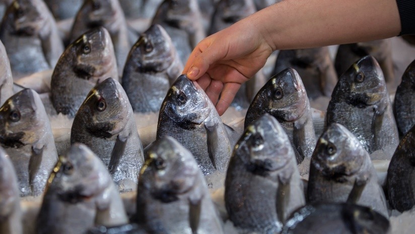 Insólito Viral Pescadería Kuwait Emisoras Unidas