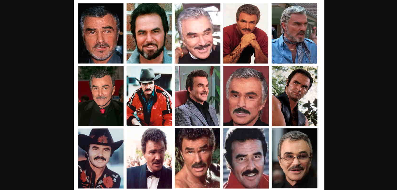 Burt Reynolds 1