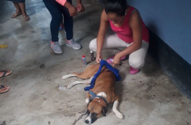 Escuintla, Santa Lucía Cotzumalguapa, Violencia Viral asalto perro Emisoras Unidas