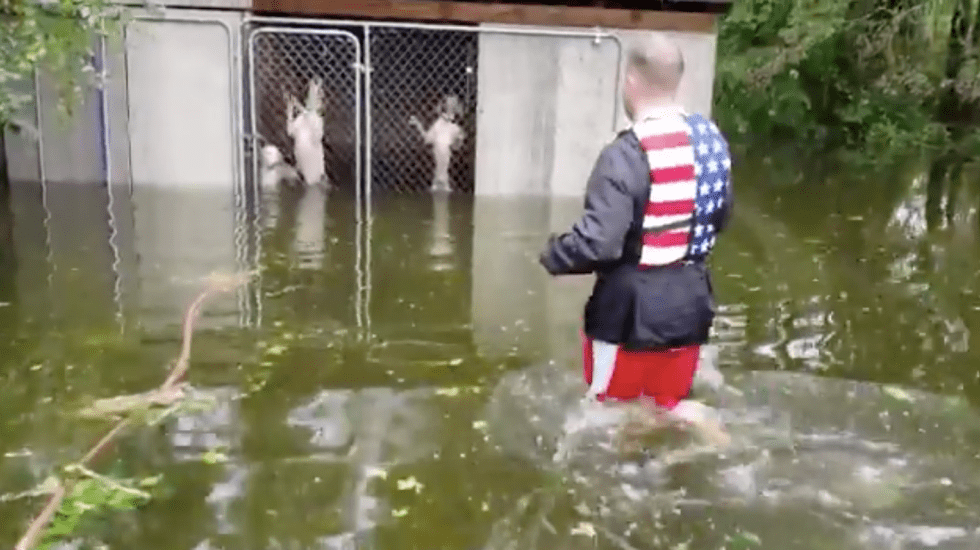 Video Viral Huracán Florence perros