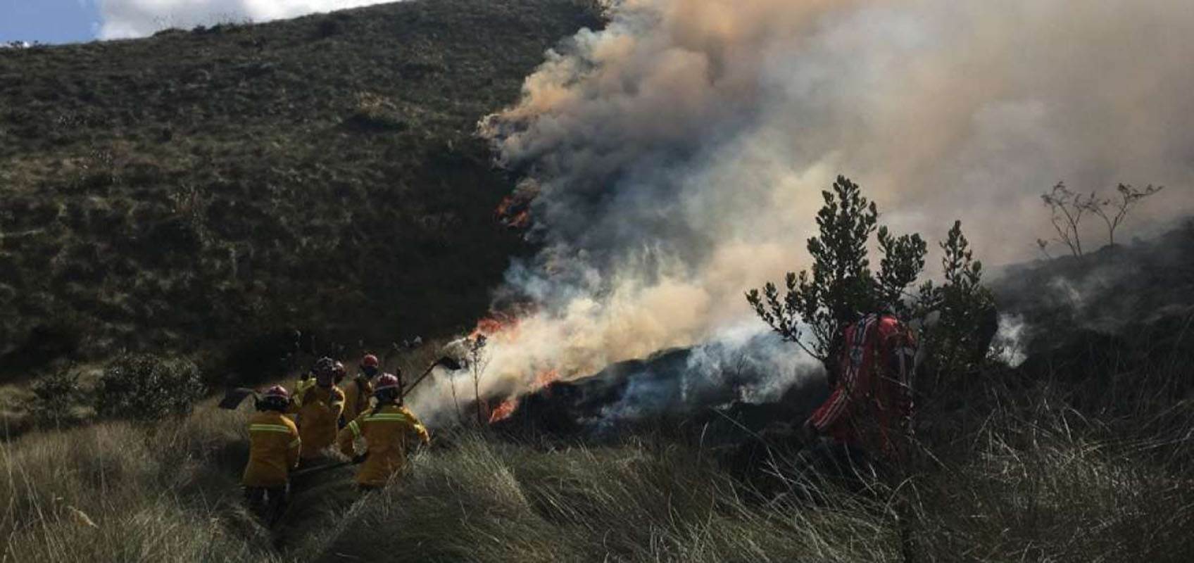 Incendio forestal