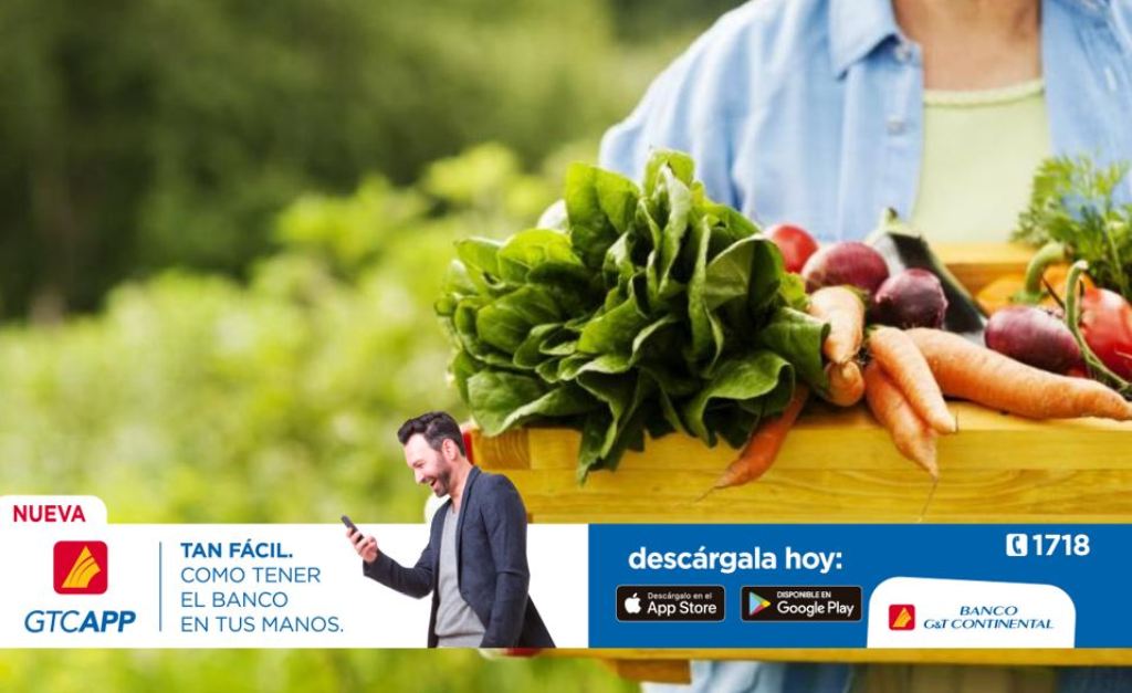 Alimentos orgánicos cáncer