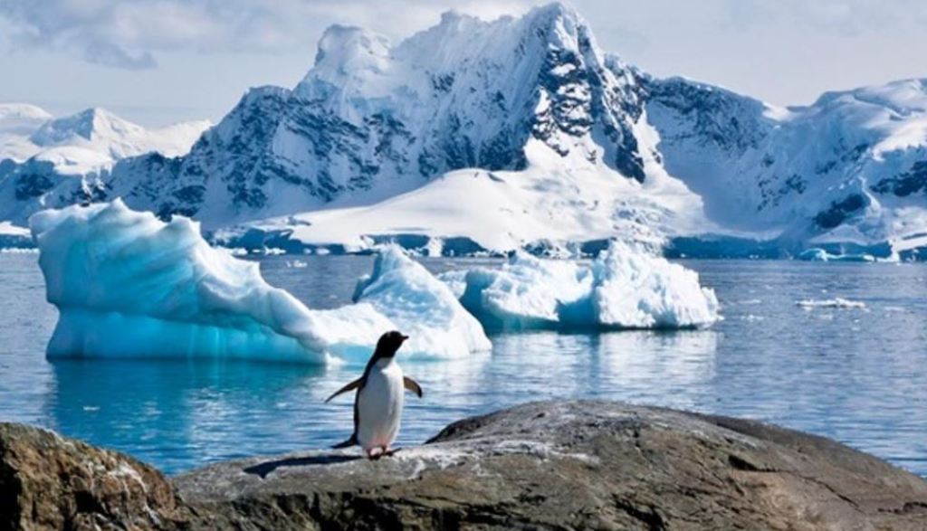 antartida-barrera-de-hielo-tarareo-de-ross-cientificos