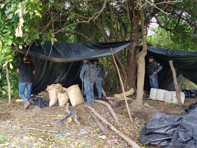 Marihuana en petén