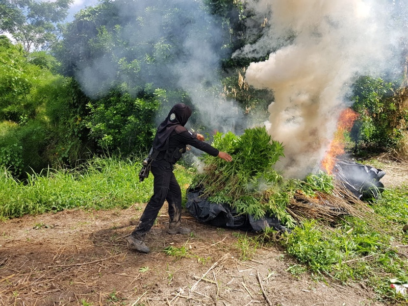 Droga en Petén