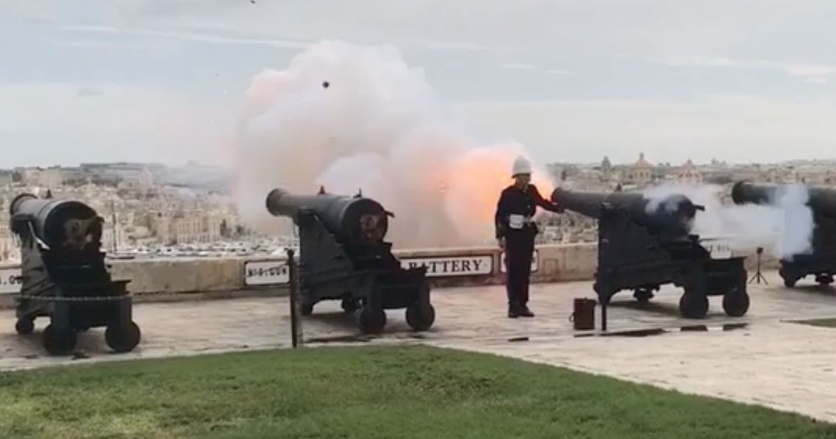 Paloma cañón Malta