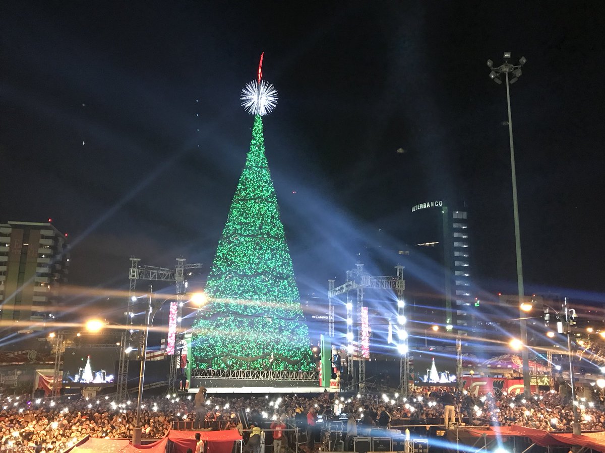 Festival Árbol Gallo