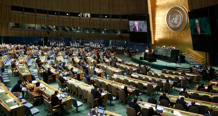 Asamblea General de la ONU