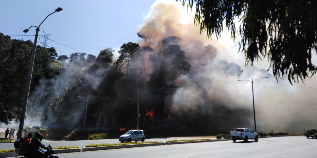 Incendio forestal