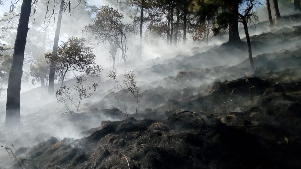 totonicapan-incendio-forestal-paraje-xeatzan