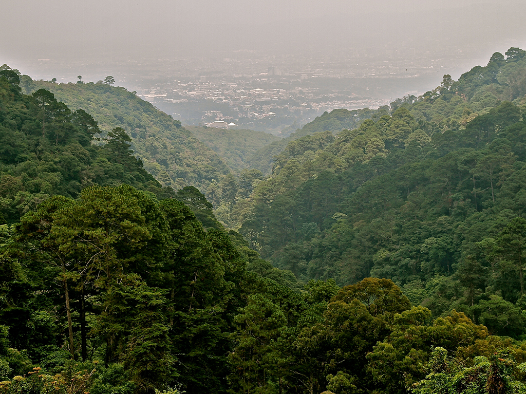 Cordillera Reserva Alux