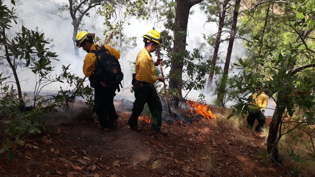 Incendios forestales