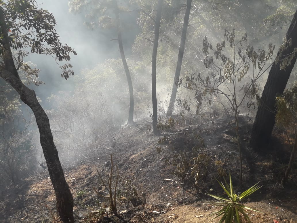 Incendios forestales