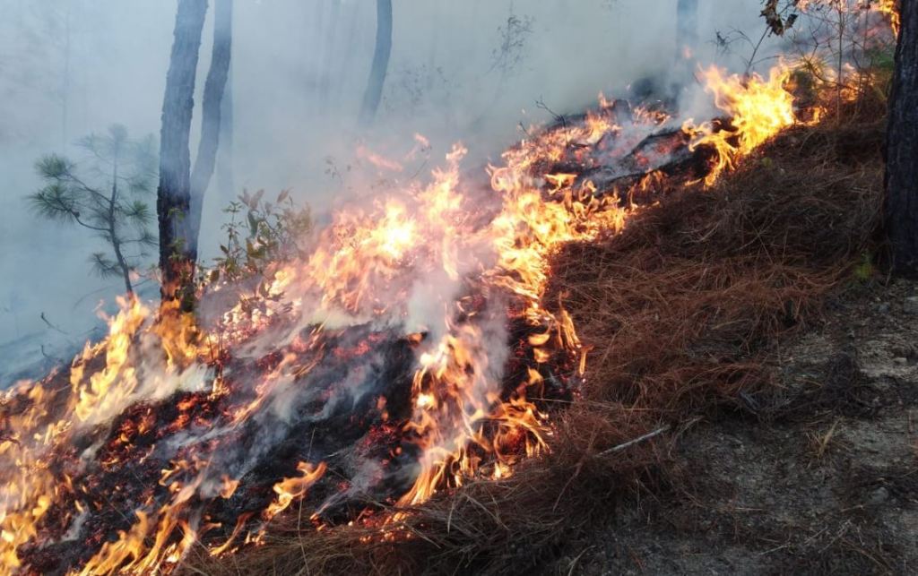 Quetzaltenango Huehuetenango incendios