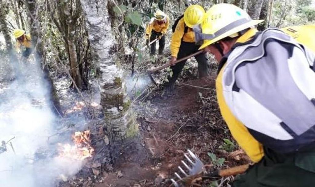 Conred incendios forestales activos