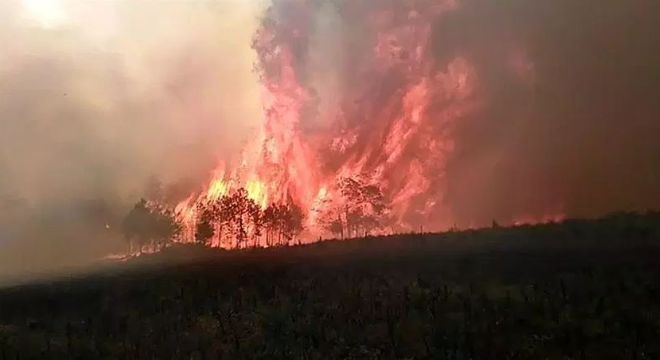 Controlan 85 % del incendio en estado mexicano de Veracruz