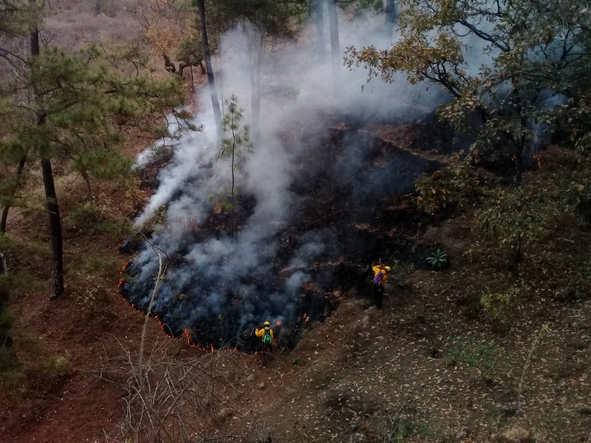 Incendios forestales