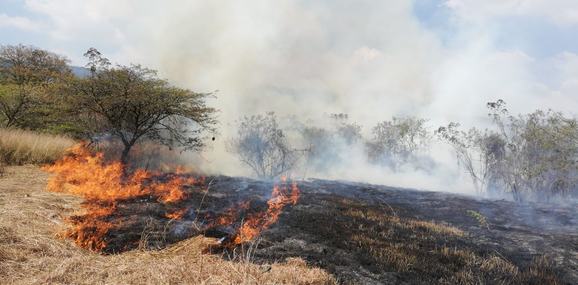 Incendios forestales