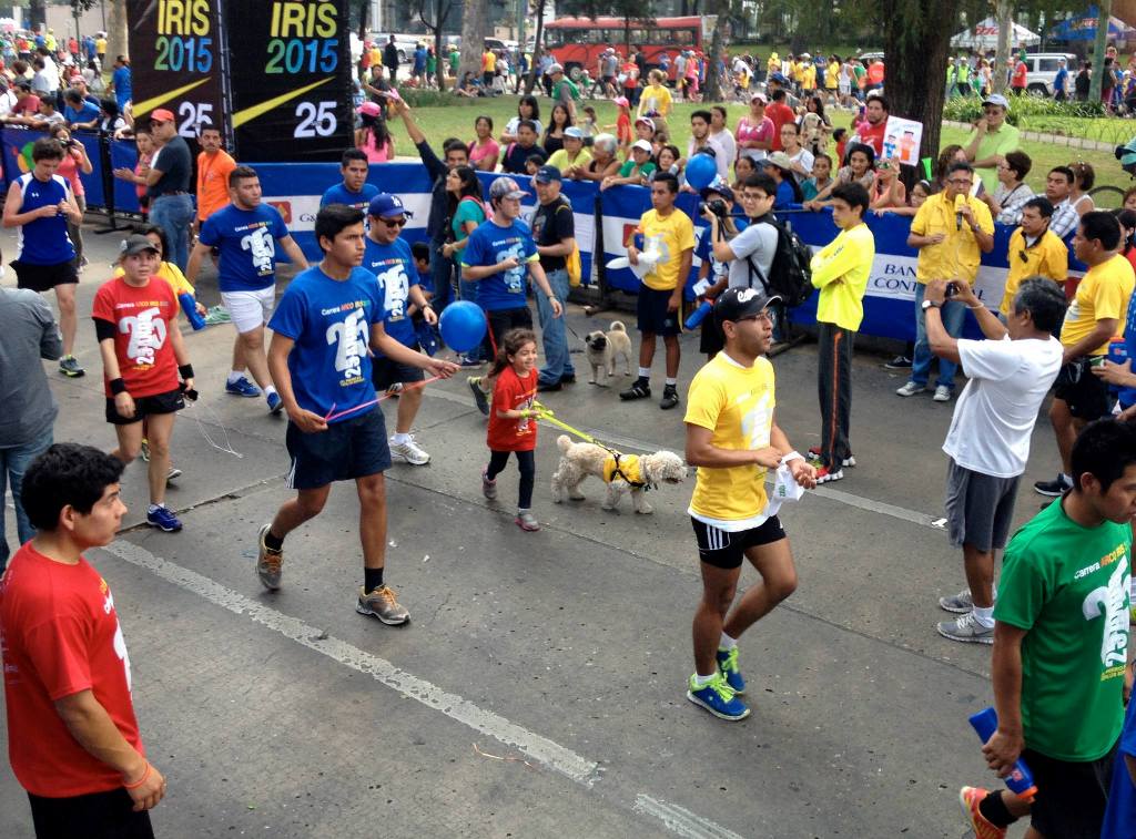 carrera Arco Iris cáncer AYUVI