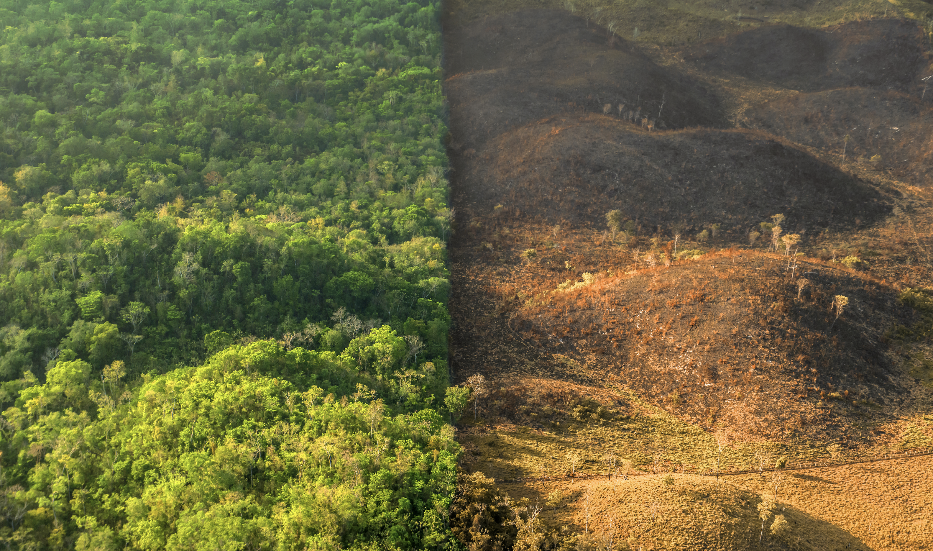 Concesiones Forestales Comunitarias