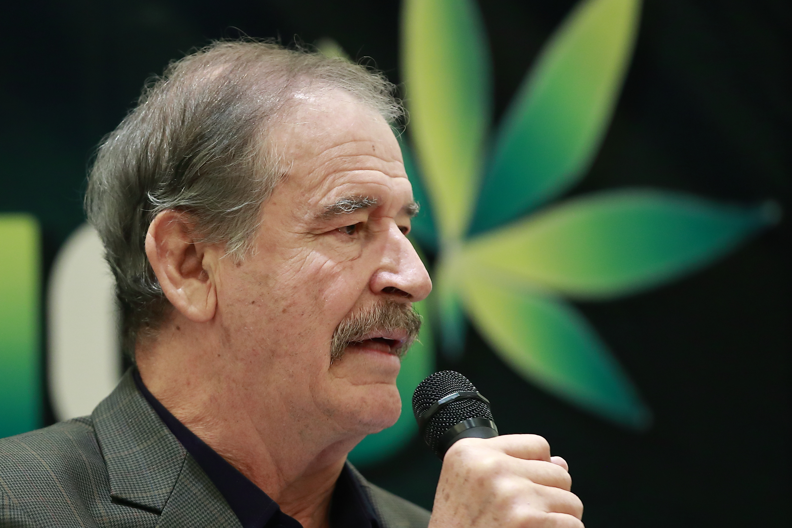 Expresidente mexicano Vicente Fox. Foto: EFE.