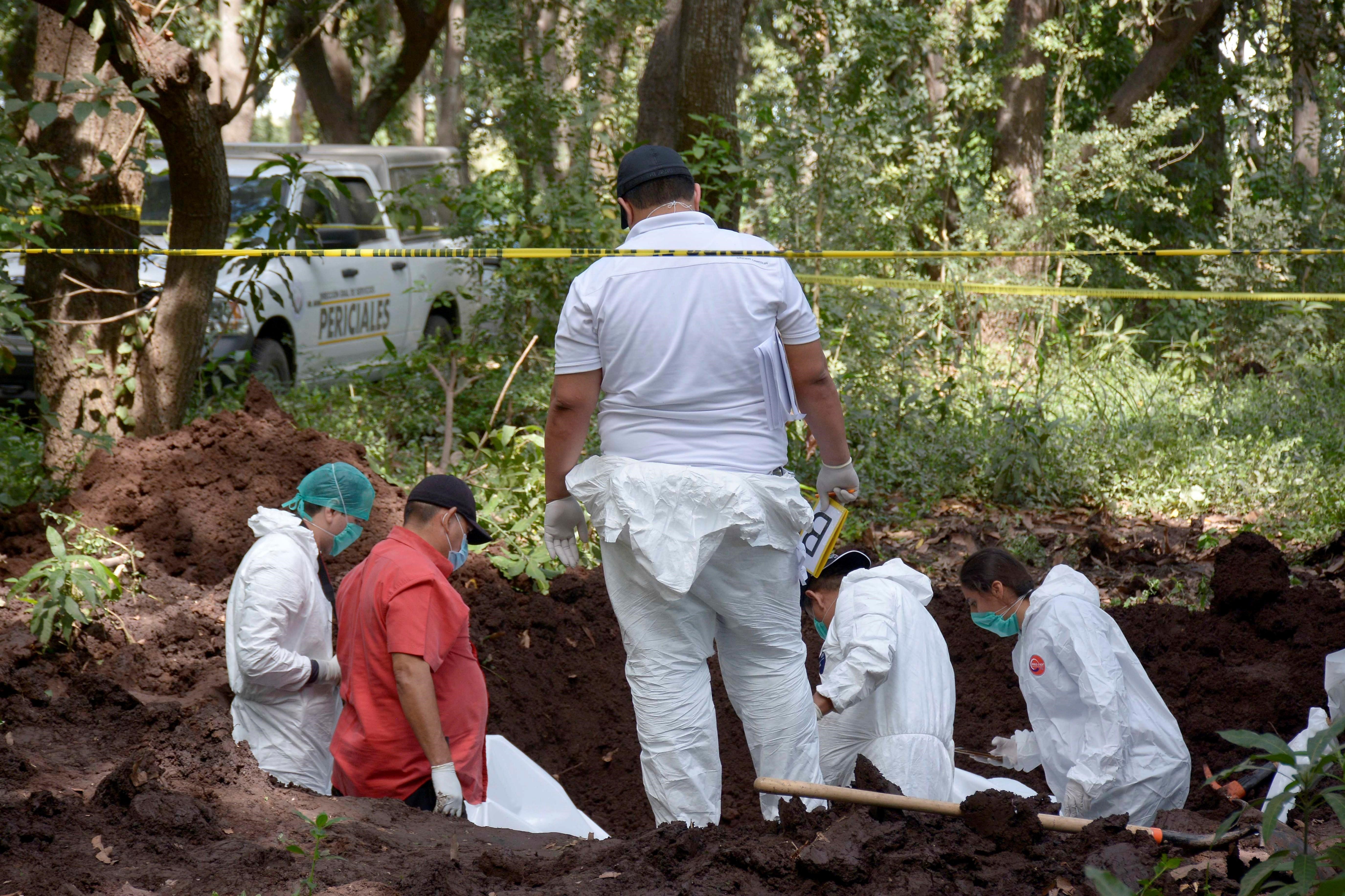 Fosas clandestinas en México. Foto: EFE