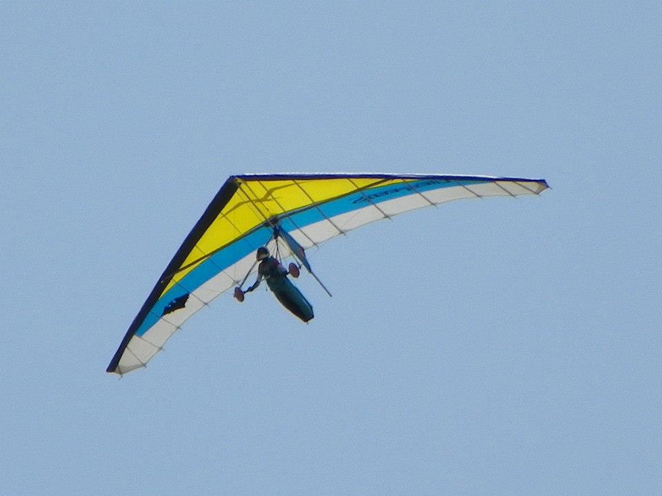 Vuelo