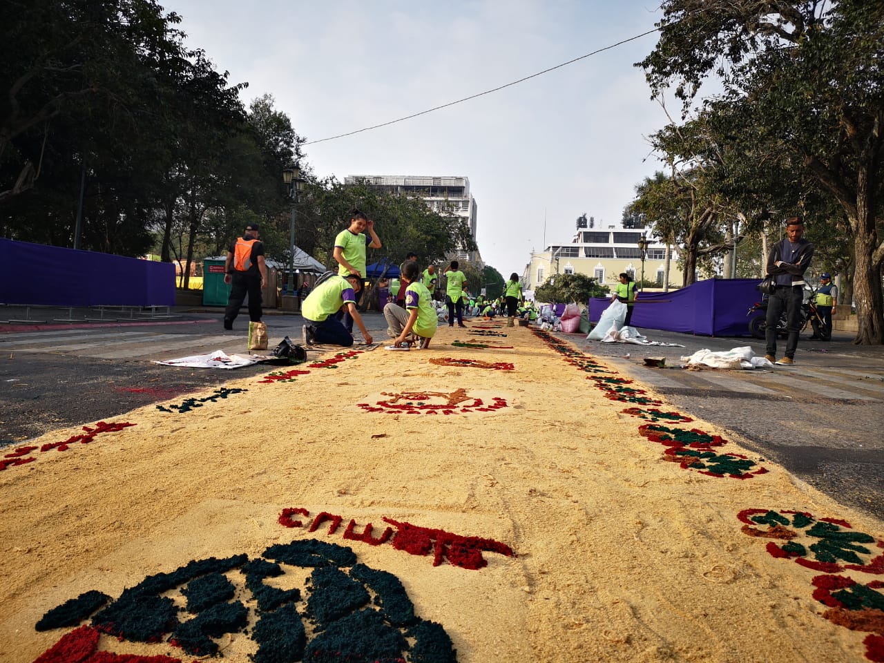 Alfombra en el Paseo de la Sexta