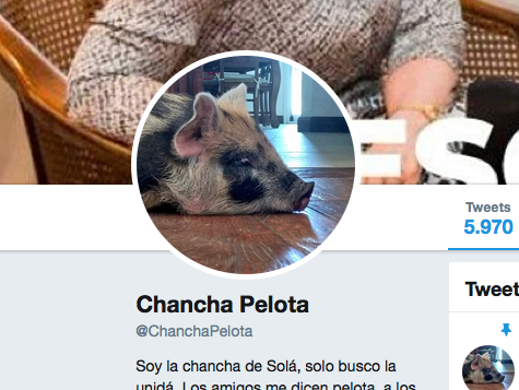 Chancha Pelota