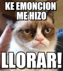 Grumpy Cat memes