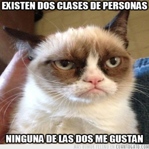 Grumpy Cat memes