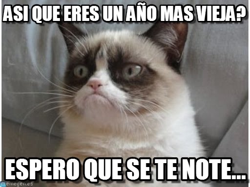 Grumpy Cat memes