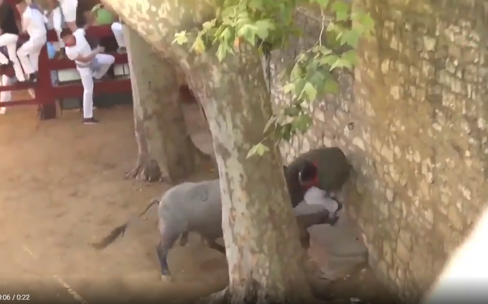 Hombre recibe cornadas de toro