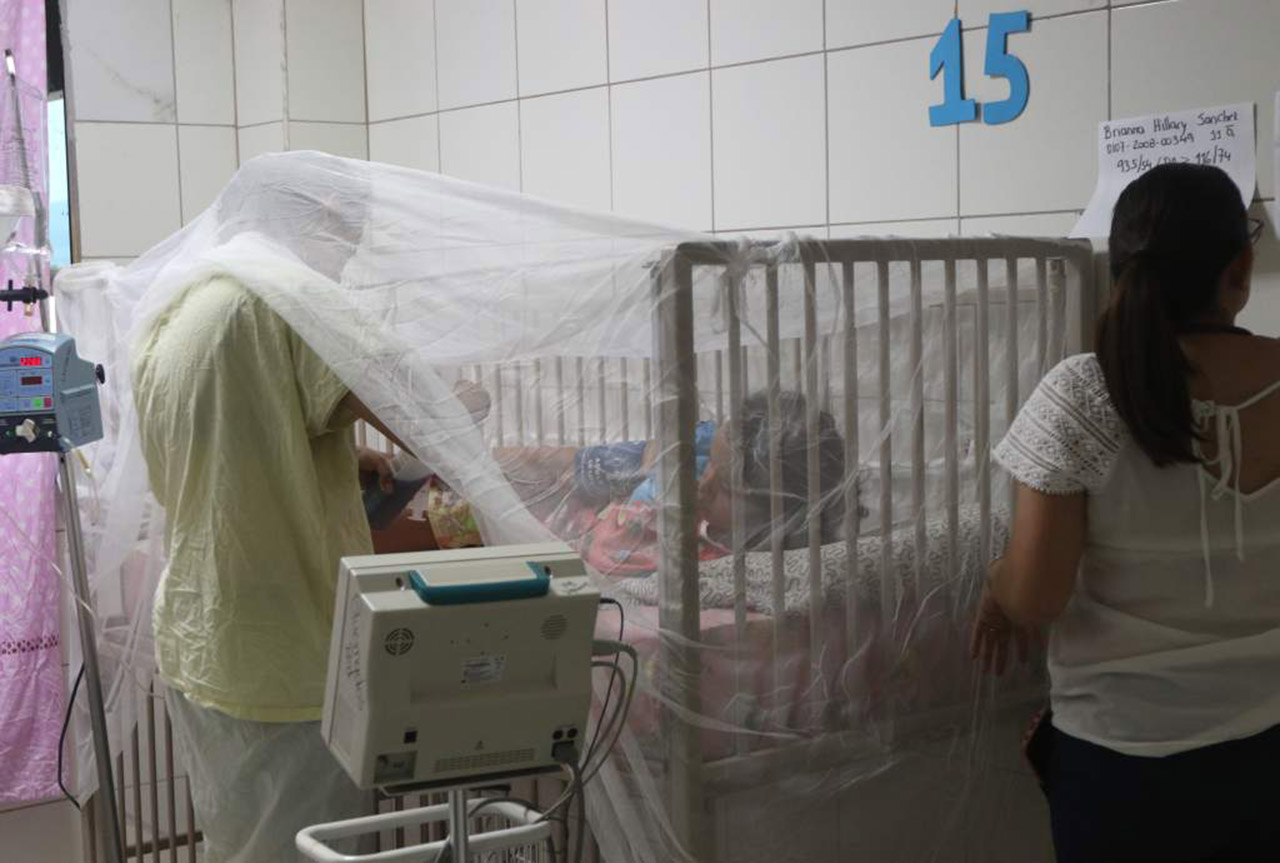 Sube a 142 la cifra de muertos por dengue grave en Honduras