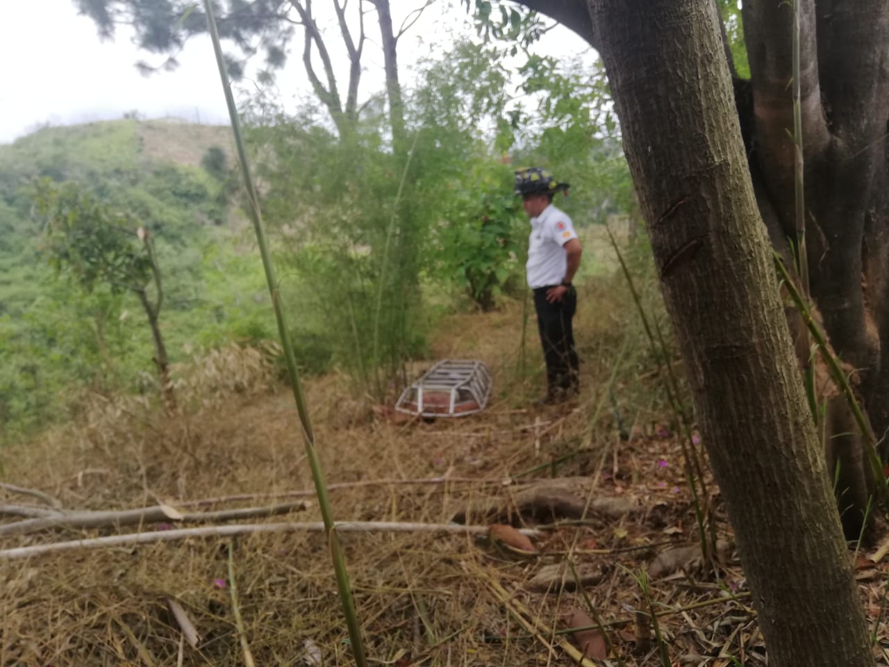 Macabro hallazgo de adolescente decapitado